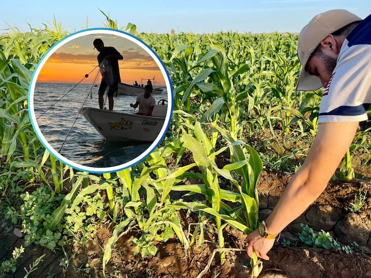 Solicitan aumento presupuestal para agricultura y pesca de BC