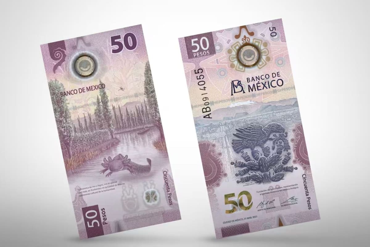 Billete del “ajolotito” no deja de ser popular entre los mexicanos: más de 8 millones lo guardan