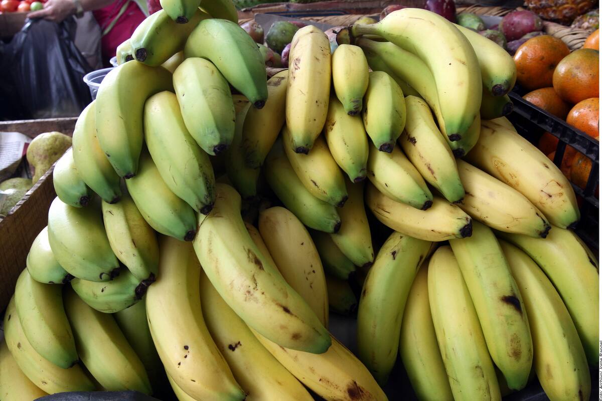 EU hace compras récord de plátano mexicano