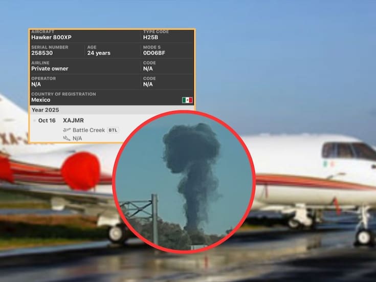 Avioneta registrada en México se estrella en Michigan: Tres fallecidos en Bath Township