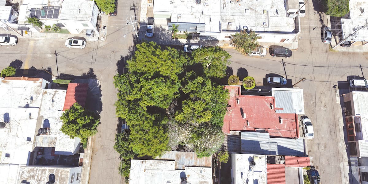 Enrique Maytorena vive en una casa cubierta por varios árboles frondosos, en calle De los Juníperos esquina con De los Ébanos, en la colonia Fuentes del Mezquital.