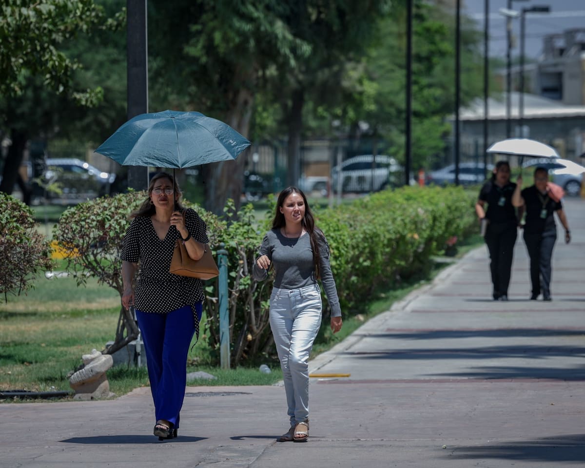 El calor se concentrará en las tardes, según advierte el SMN. l Foto: Archivo
