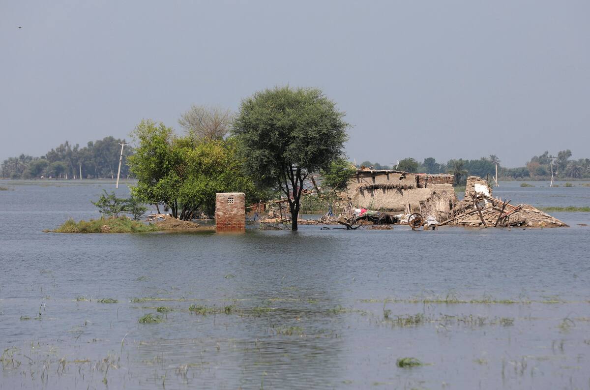 Vista general de una casa dañada, tras las lluvias e inundaciones de la temporada monzónica en Gari Yasin, Shikarpur, Pakistán
Ago 31, 2022. REUTERS/Akhtar Soomro
