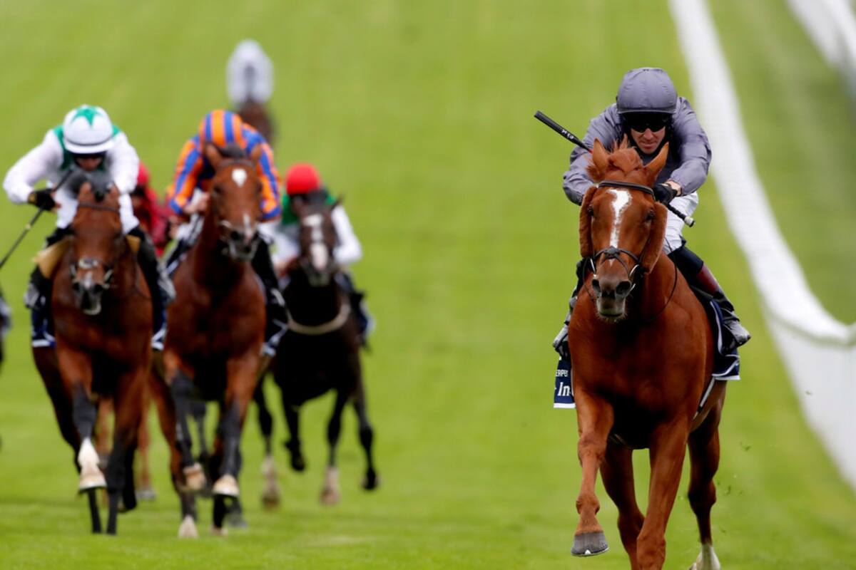 VIDEO: Caballo encabeza carrera, pero justo antes del final cambia de opinión