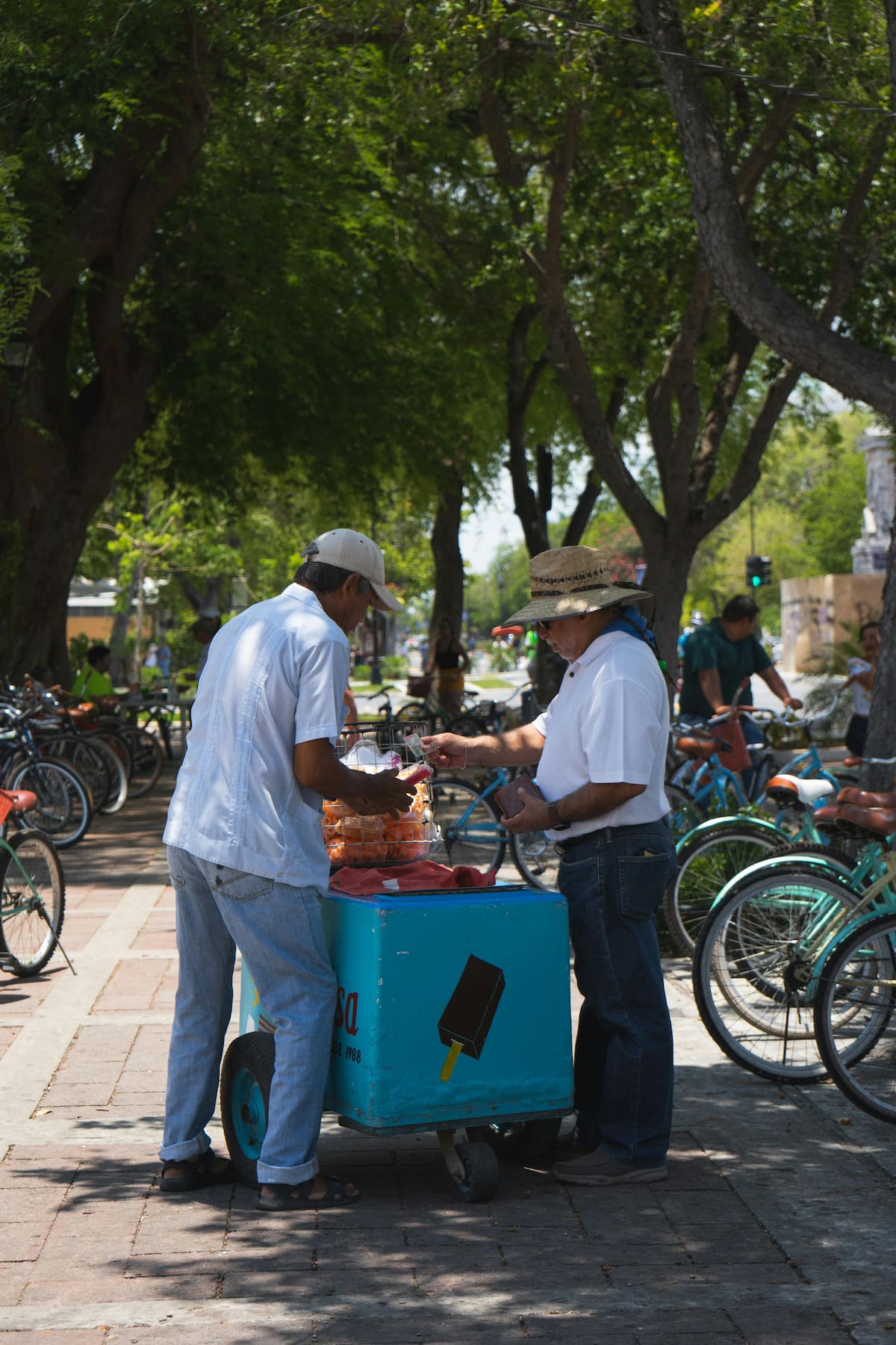 Los heladeros son muy buscados en las calles de la CDMX, sobre todo en los meses veraniegos. (Foto: Pexels - Alan Morales)