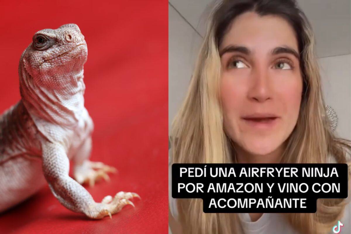 VIDEO: Mujer pidió freidora de aire por Amazon y recibió lagartija