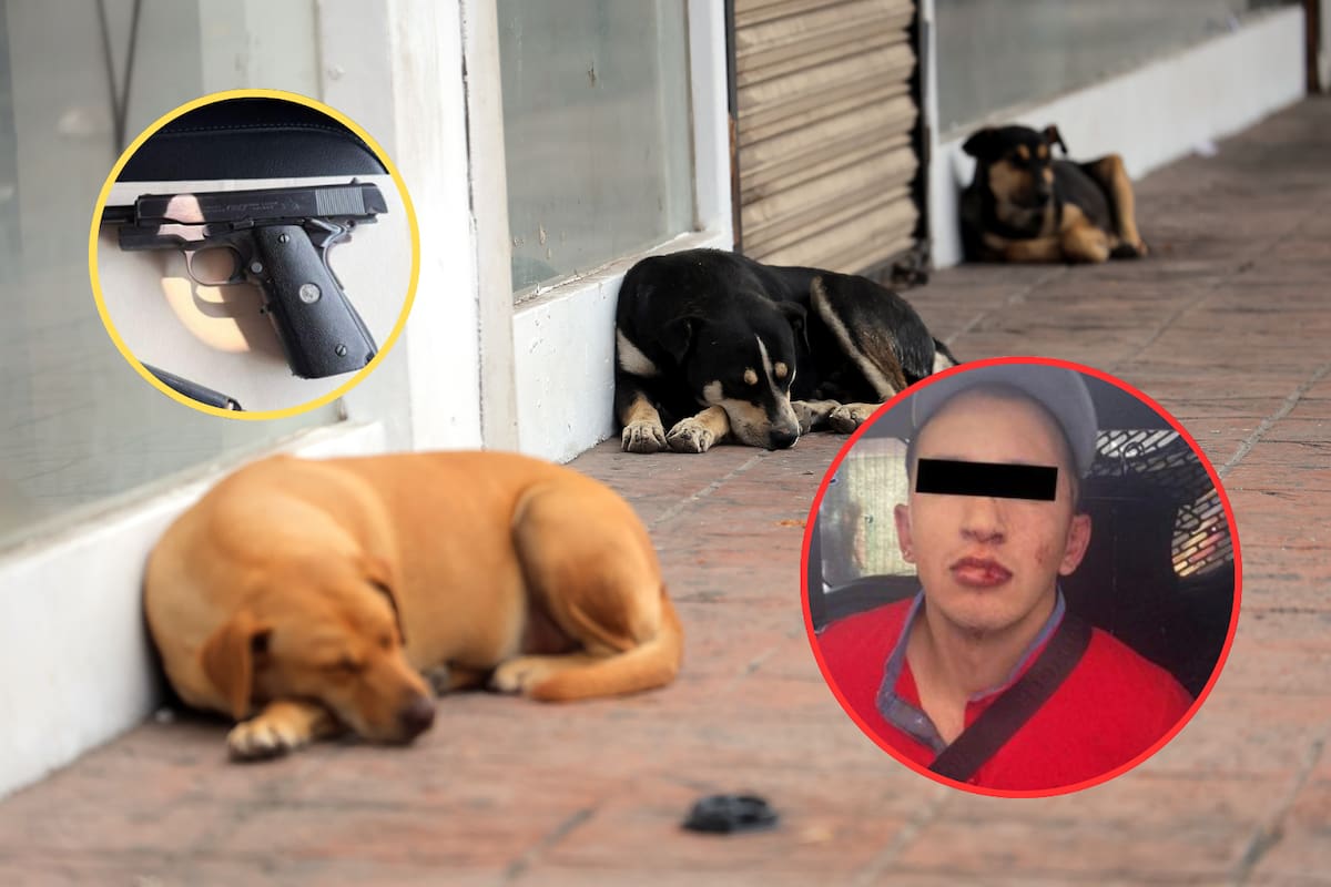 Hombre mata a su vecino y a sus dos perros luego de una discusión por ladridos en la CDMX