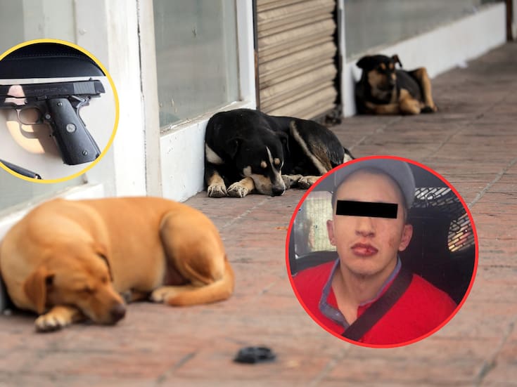 Hombre mata a su vecino y a sus dos perros luego de una discusión por ladridos en la CDMX