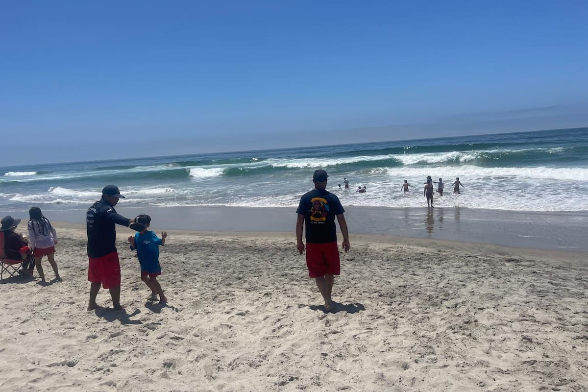 Alertan por picaduras de mantarraya en las playas de Rosarito