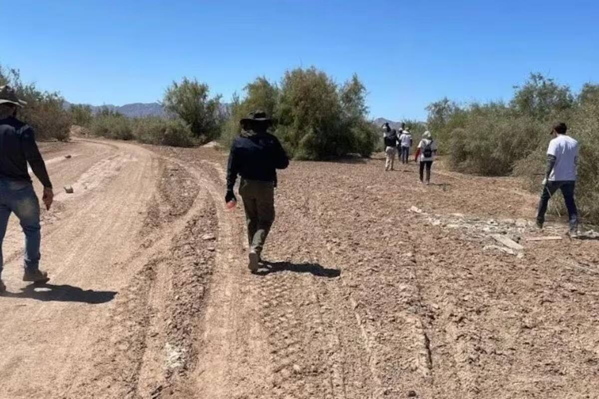 Hasta la próxima legislatura habrá modificaciones a Ley de Desaparecidos