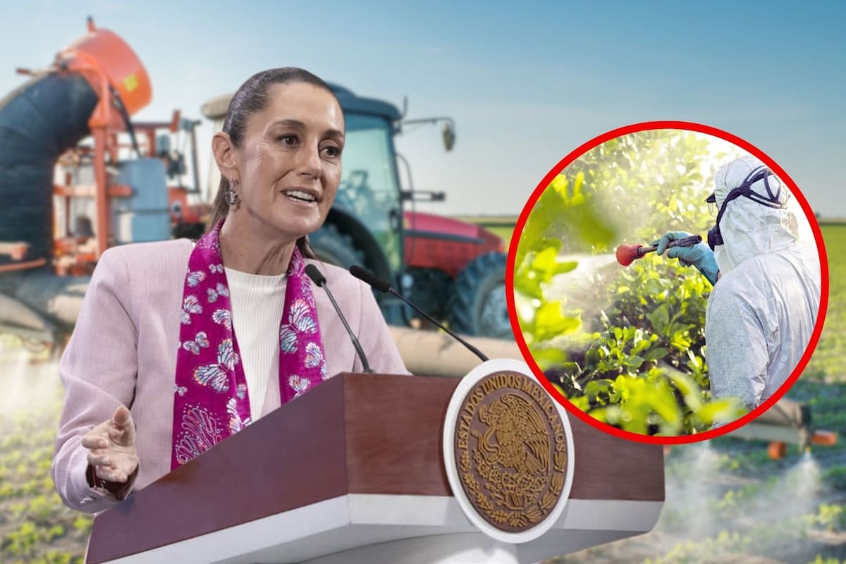 Ya es oficial: México prohibirá productos con sustancias nocivas usadas en el campo, anuncia Claudia Sheinbaum