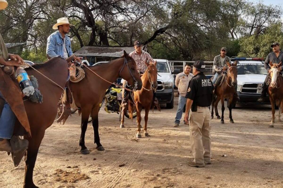 Desesperados familiares por no hallar a María Olivia; desapareció en Álamos