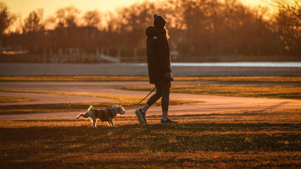 Caminar sin el celular en la mano mejora la concentración y reduce distracciones, según especialistas