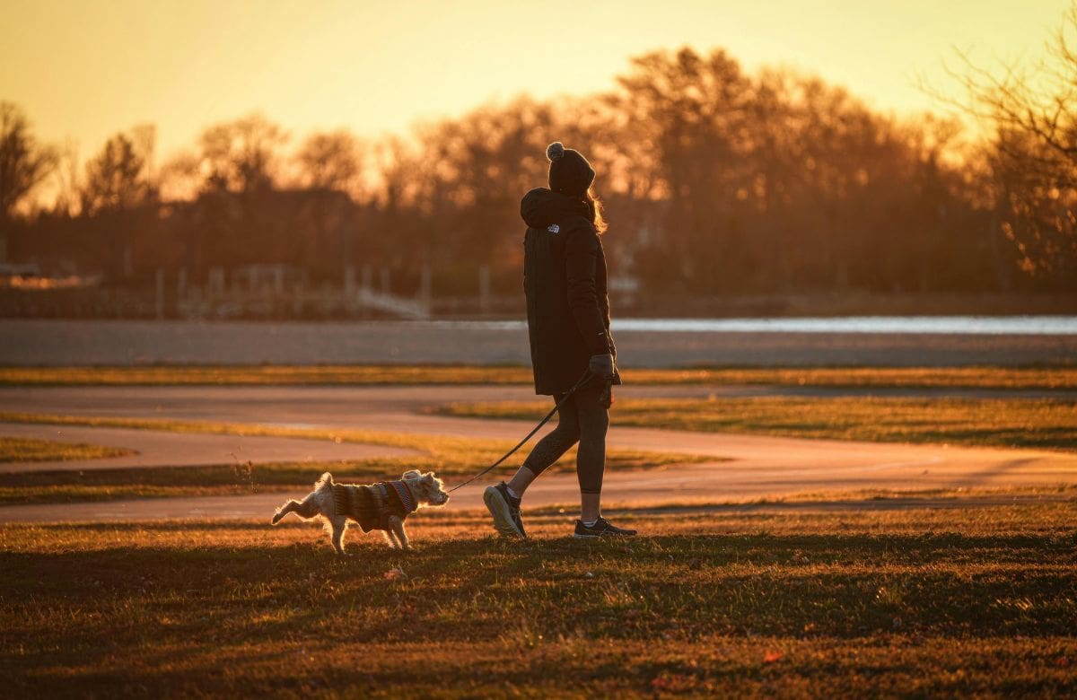 Caminar sin celular en la mano mejora la concentración y reduce distracciones, según especialistas | Foto: Especial (canva)