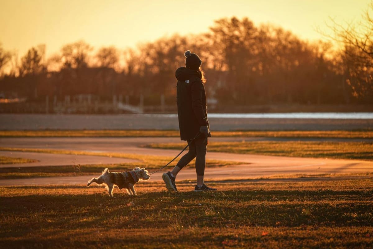 Caminar sin el celular en la mano mejora la concentración y reduce distracciones, según especialistas