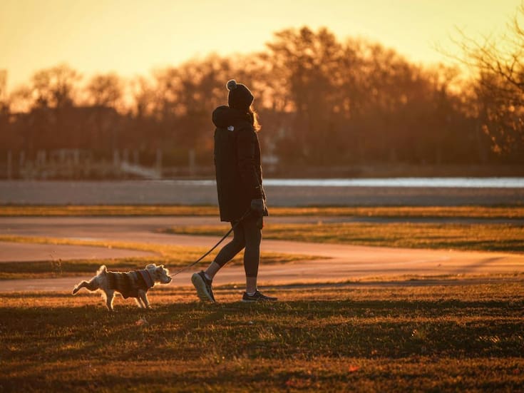 Caminar sin el celular en la mano mejora la concentración y reduce distracciones, según especialistas