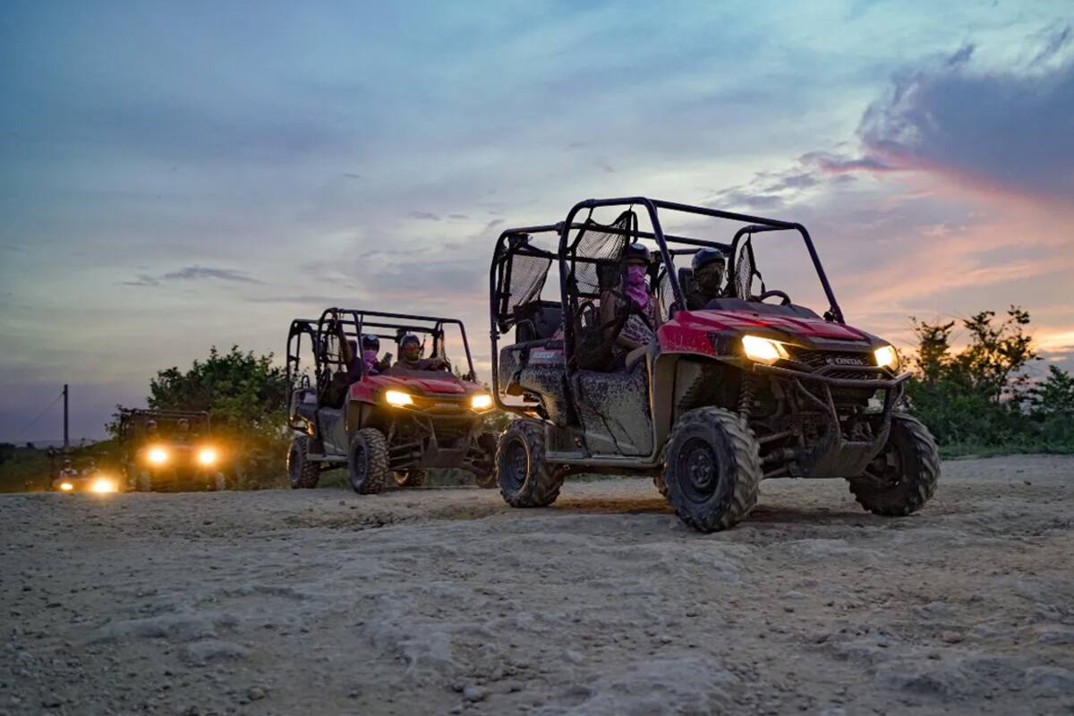 Explora el paraíso: Excursiones únicas en Punta Cana