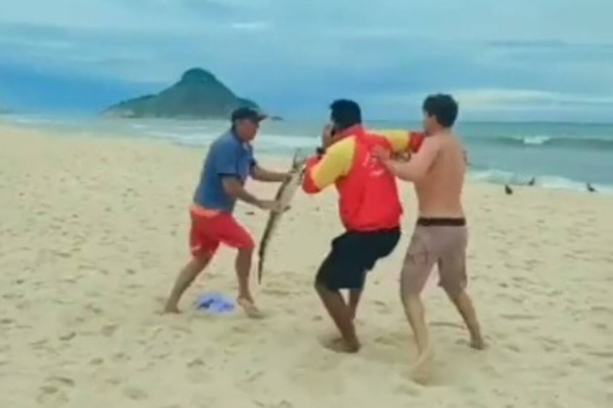 Usa caimán vivo como un arma en una pelea en playa