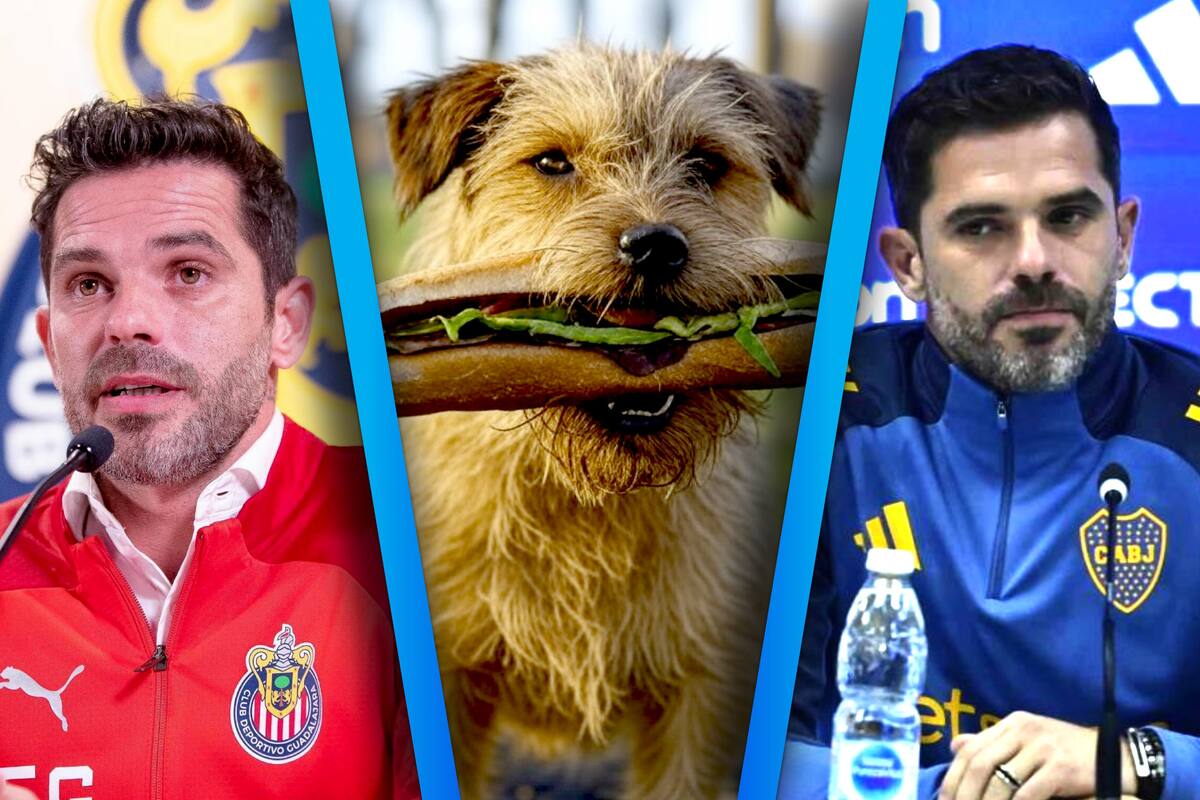 Fernando Gago se quedará como “el perro de las dos tortas”: Sin Chivas y sin Boca Juniors