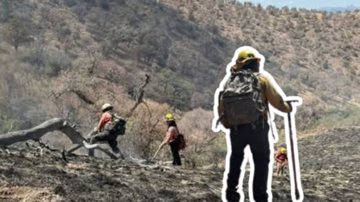 Liquidado al 100 % el incendio en la Sierra Los Ajos; combatieron el fuego durante más de dos semanas
