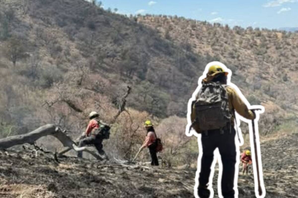 Liquidado al 100 % el incendio en la Sierra Los Ajos; combatieron el fuego durante más de dos semanas