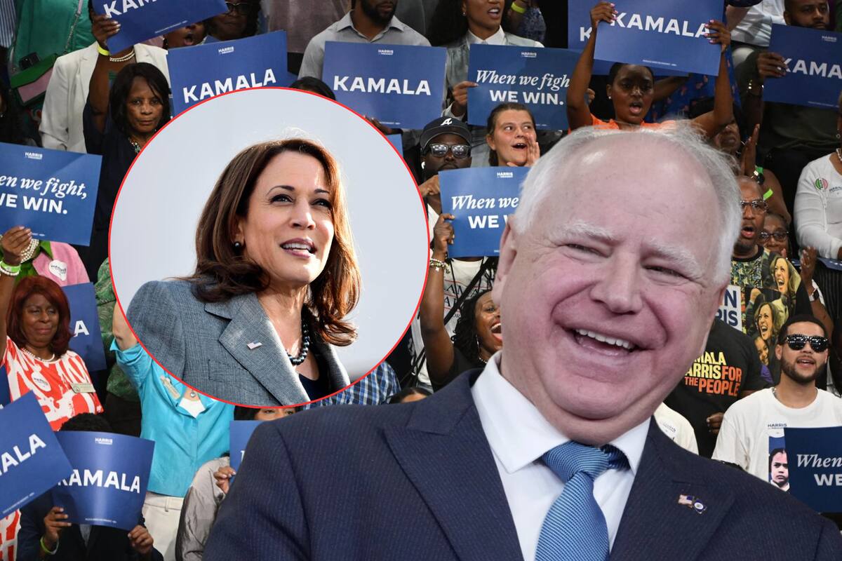 Kamala Harris elige a Tim Walz como su vicepresidente: ¿Quién es y por qué podría atraer votos de republicanos?