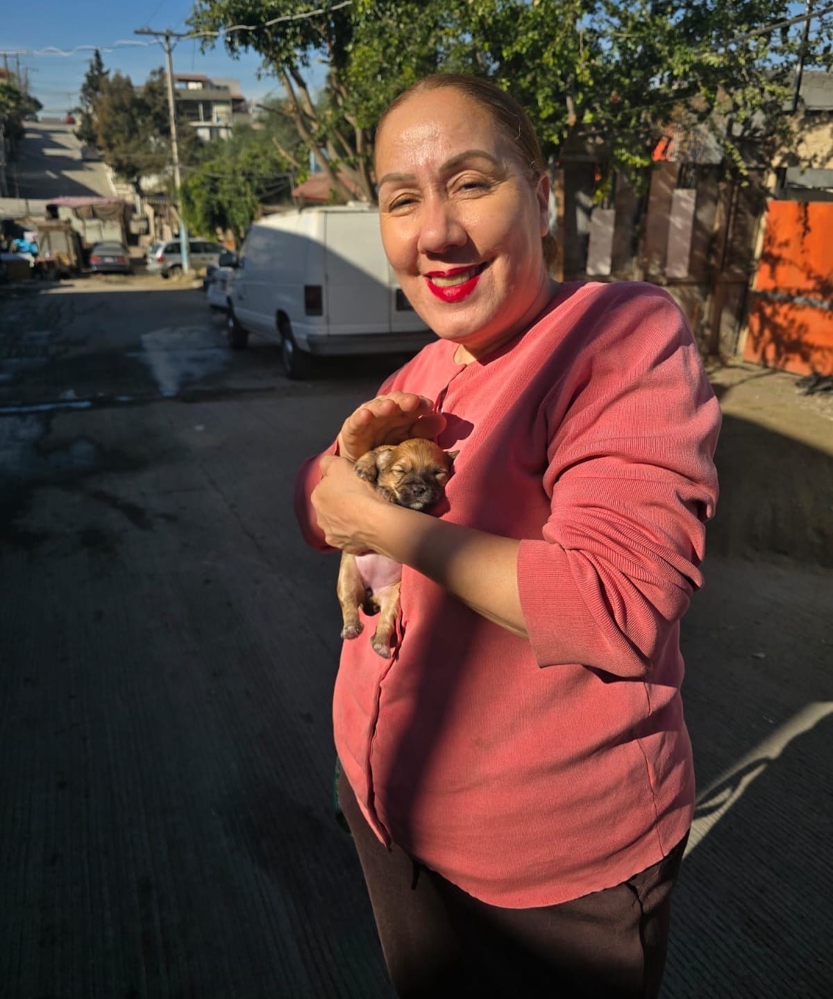 Alma trabaja incansablemente en el rescate de animales.