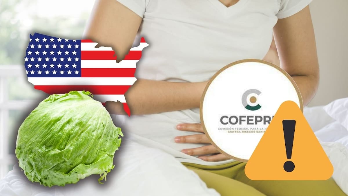 Cofepris investiga brote de ciclosporiasis en EEUU tras vincularse con lechuga iceberg