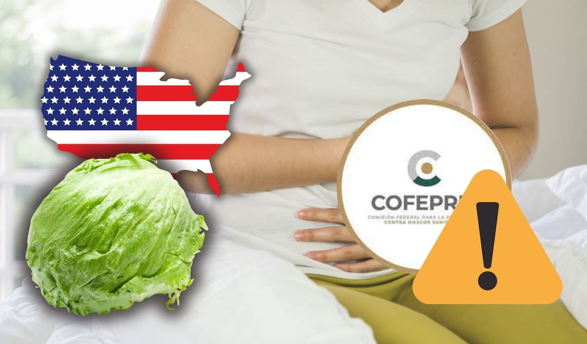 Cofepris investiga brote de Cyclospora en Estados Unidos; revisan trazabilidad de lechuga vinculada al caso
