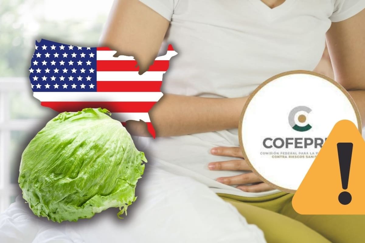 Cofepris investiga brote de ciclosporiasis en EEUU tras vincularse con lechuga iceberg; colabora con la FDA para rastrear el origen
