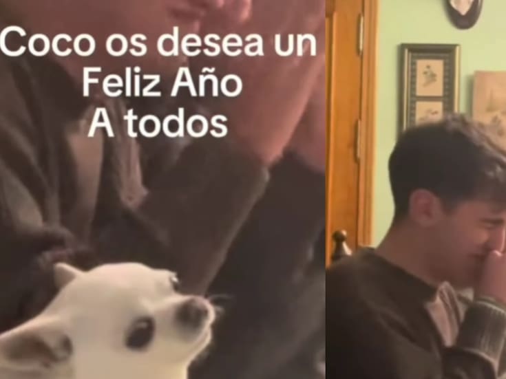 Chihuahua se vuelve viral por ladrar una vez por cada campanada para recibir el Año Nuevo con su familia