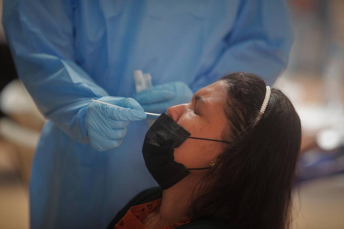 Centaurus: ¿Qué se sabe de la nueva subvariante de Covid-19?