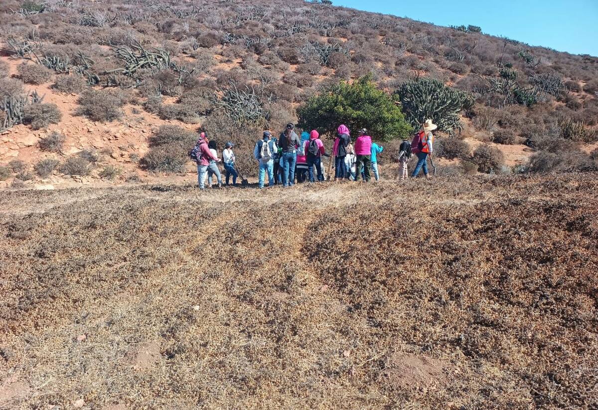 Las labores de búsqueda se llevaron a cabo en un área de terracería.