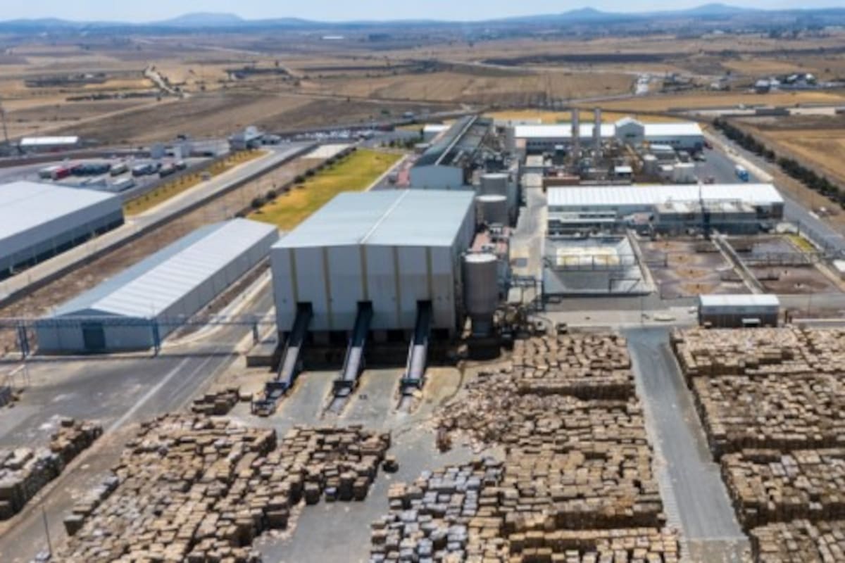 Grupak: la empresa mexicana detrás de millones de cajas que mueven la economía del país