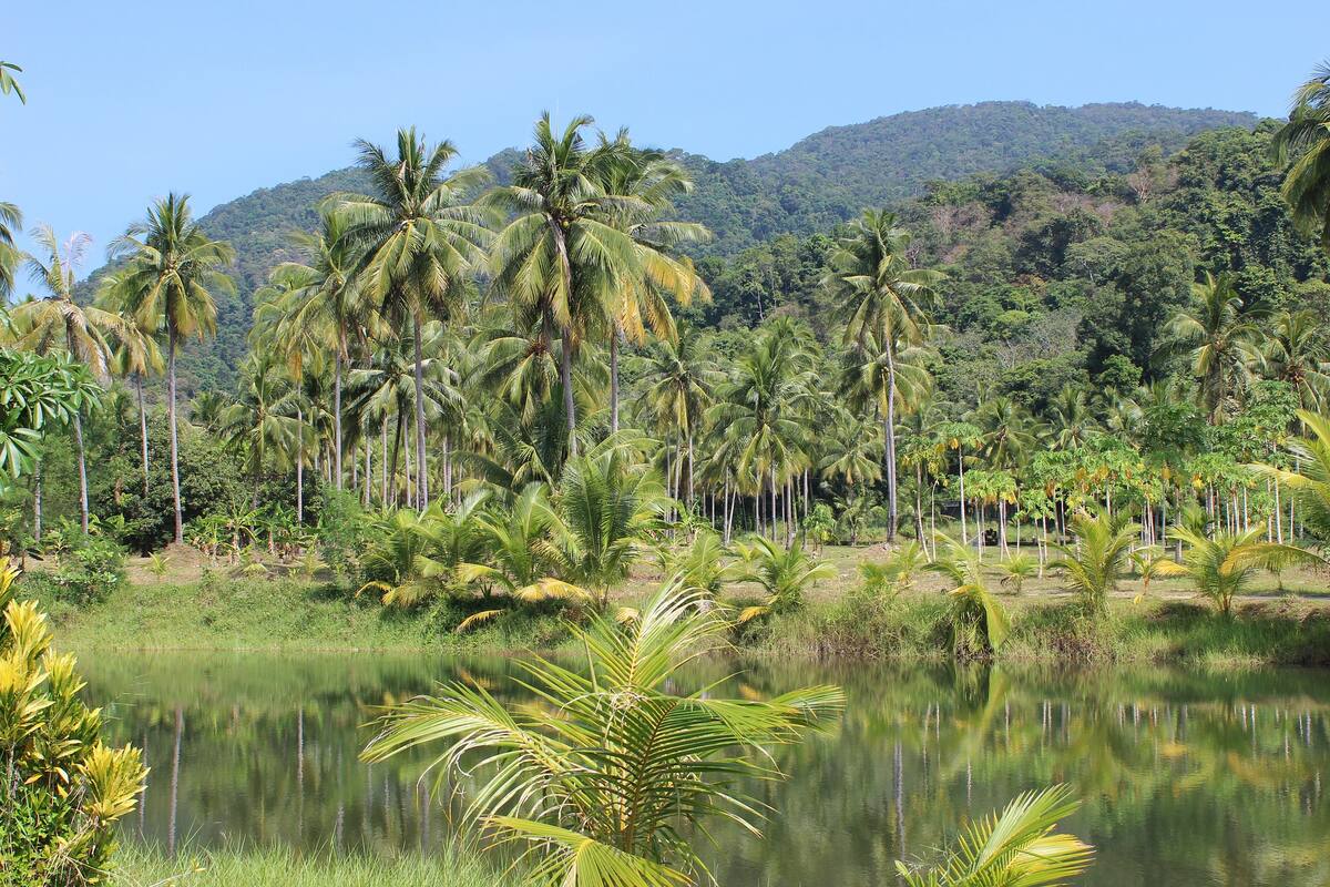 El campo de concentración en el Amazonas donde encerraron a cientos de familias japonesas durante la II Guerra Mundial