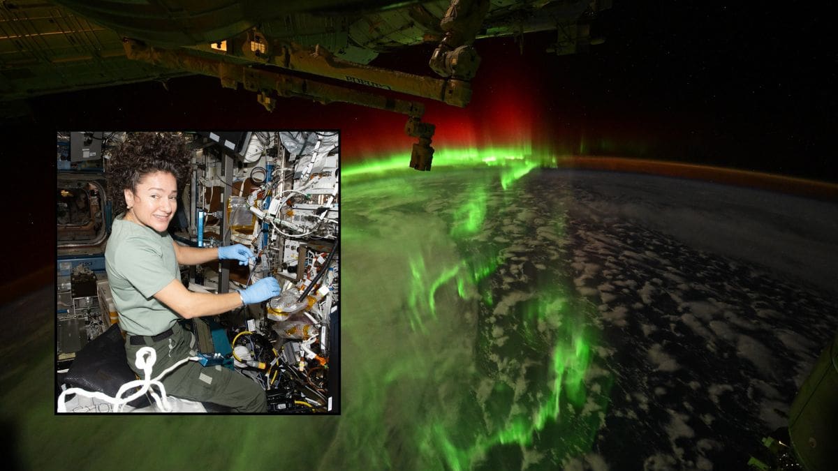 Auroras australes vistas desde la Estación Espacial sorprenden a astronautas de la NASA y muestran el impacto de un reciente evento solar sobre la Tierra