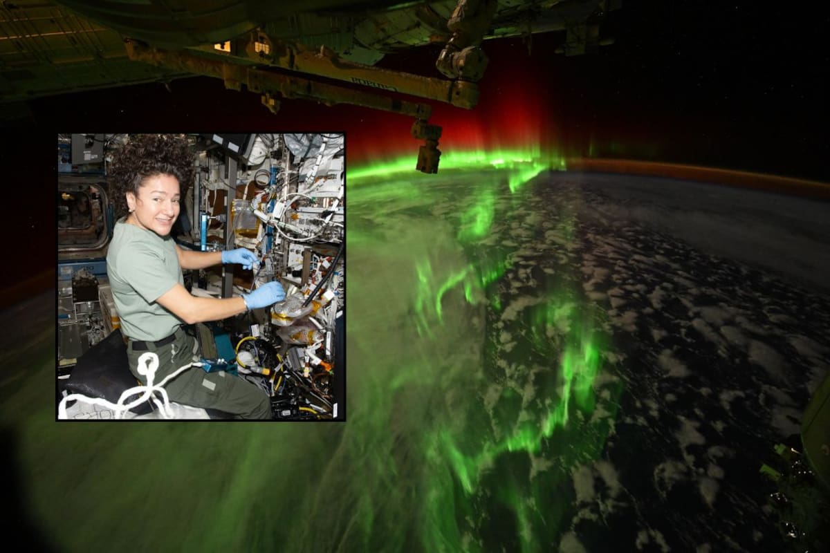 Auroras australes vistas desde la Estación Espacial sorprenden a astronautas de la NASA y muestran el impacto de un reciente evento solar sobre la Tierra