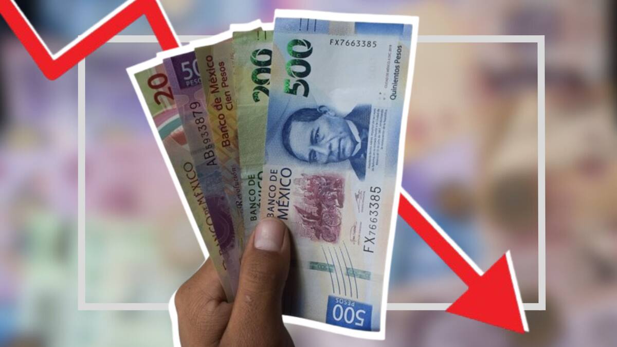 Mercado informal en regreso a clases frena el desarrollo económico del país: Anpec