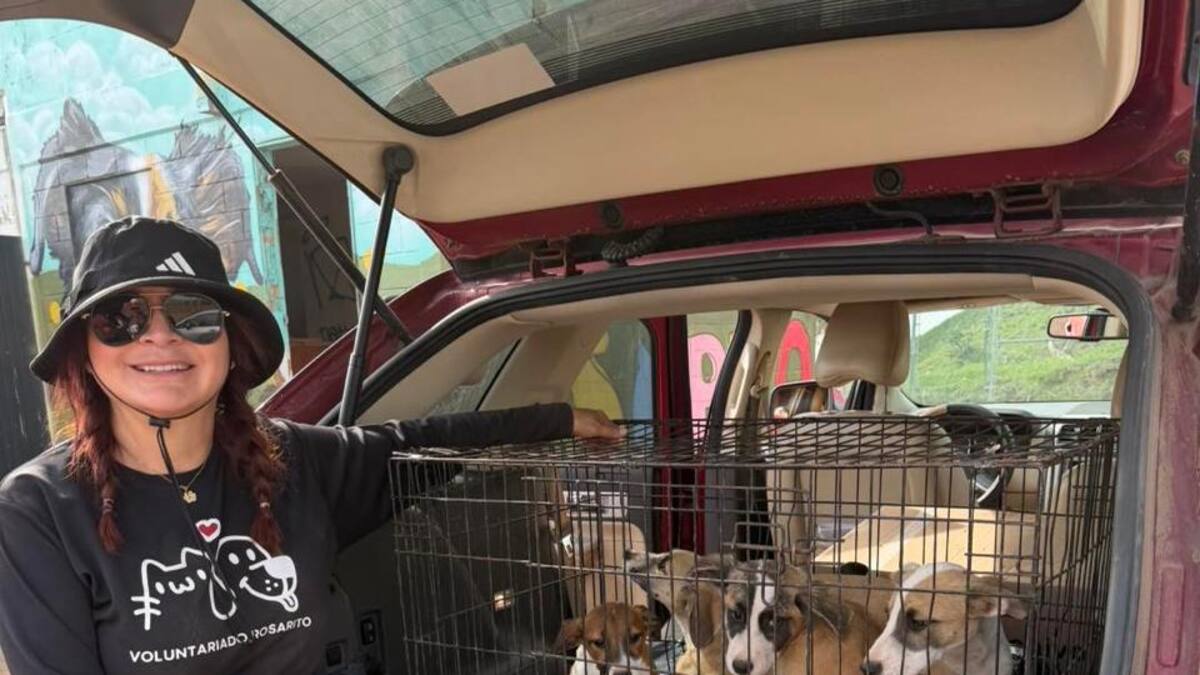 Un año de voluntariado transforma la perrera municipal en Rosarito