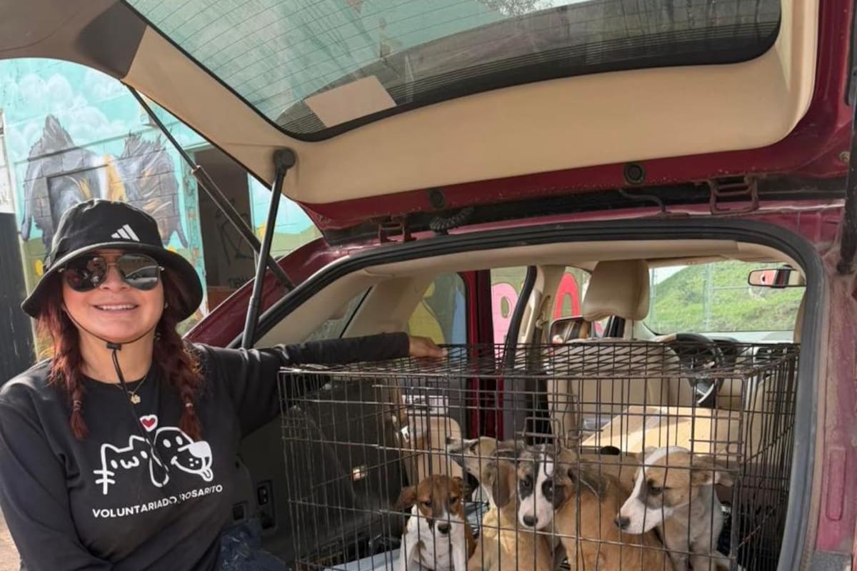 Un año de voluntariado transforma la perrera municipal en Rosarito