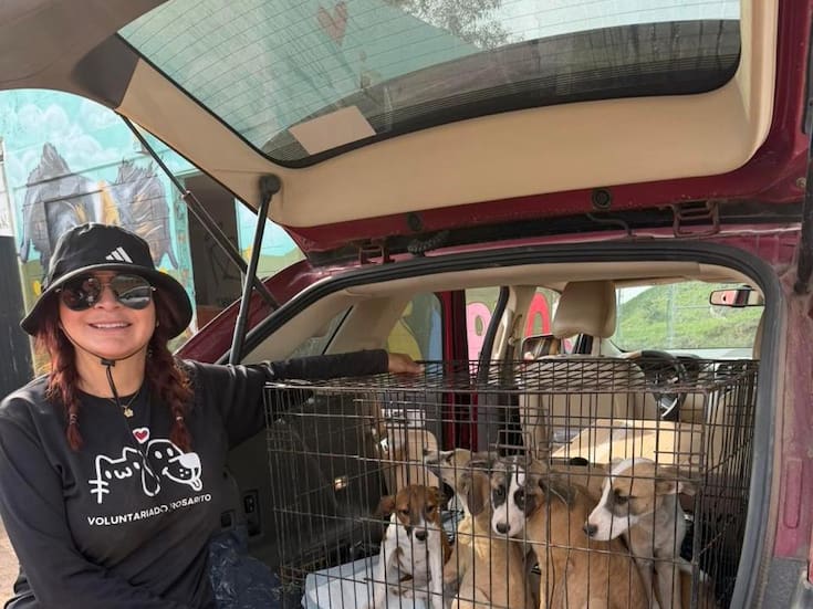 Un año de voluntariado transforma la perrera municipal en Rosarito