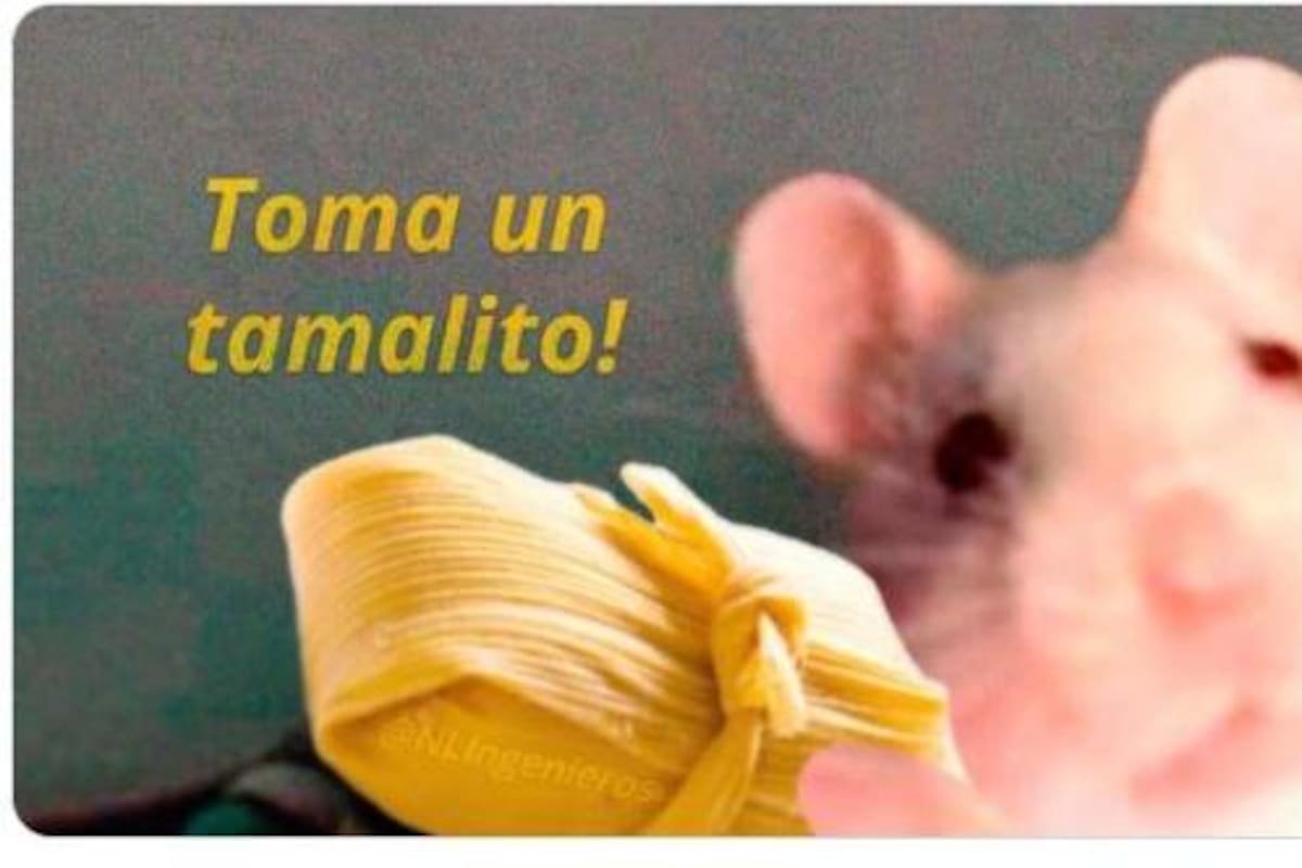“Ya huele a tamales” Los memes del Día de la Candelaria