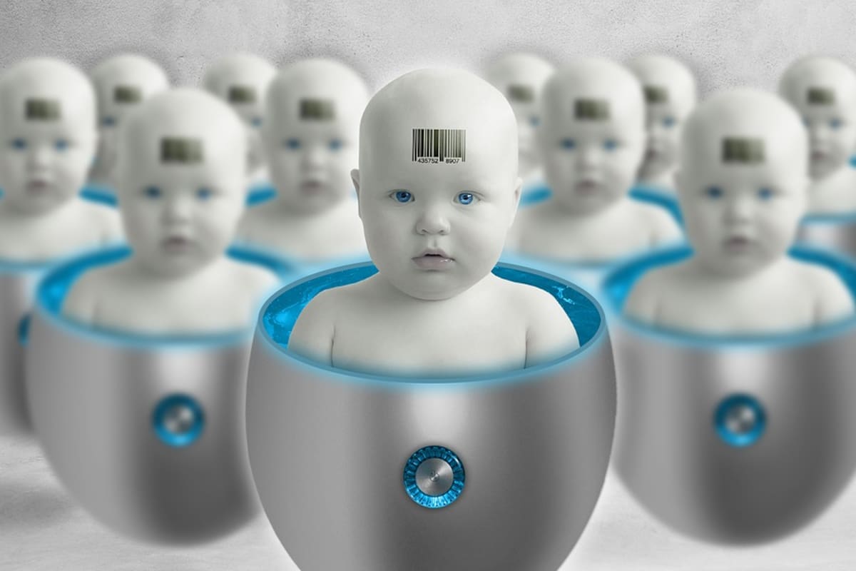 Granjas humanas : Los embarazos del futuro