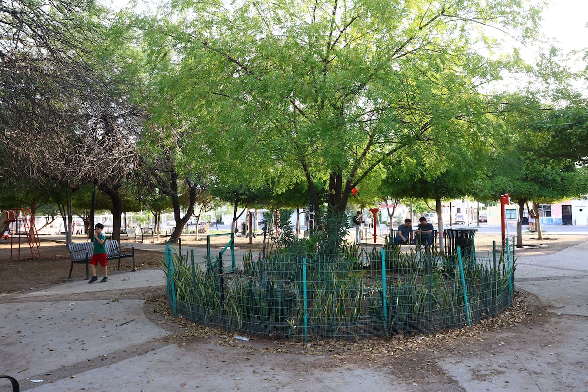 Estos parques se caracterizan porque hay bastantes árboles y son lugares muy bien conservados por los vecinos.