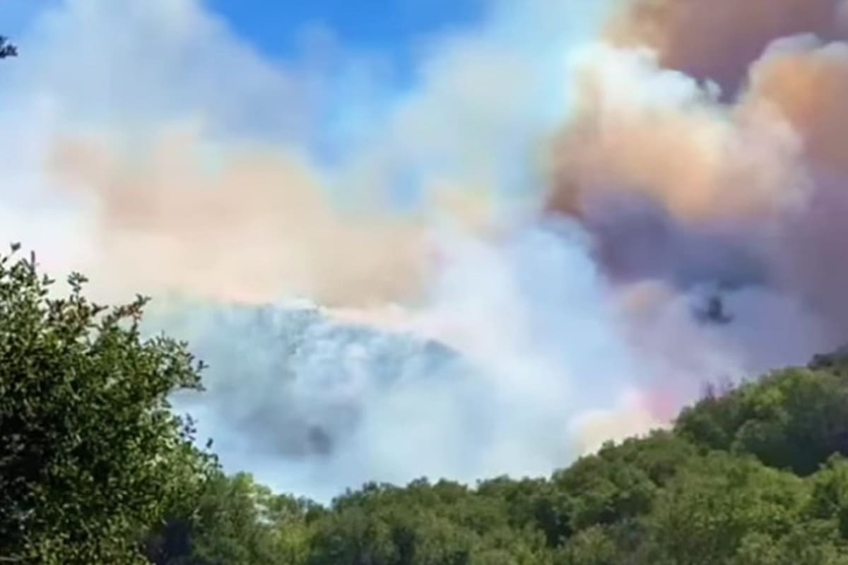 Cerrada carretera Ensenada a Ojos Negros por incendio forestal