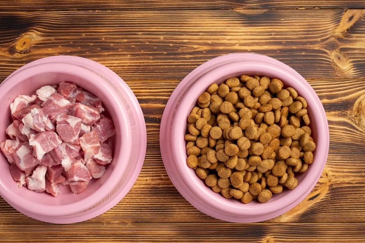 Los riesgos ocultos de la comida cruda para mascotas
