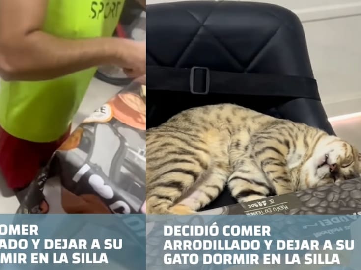 Hombre decide comer arrodillado para no quitar a su gato de la silla donde dormía plácidamente
