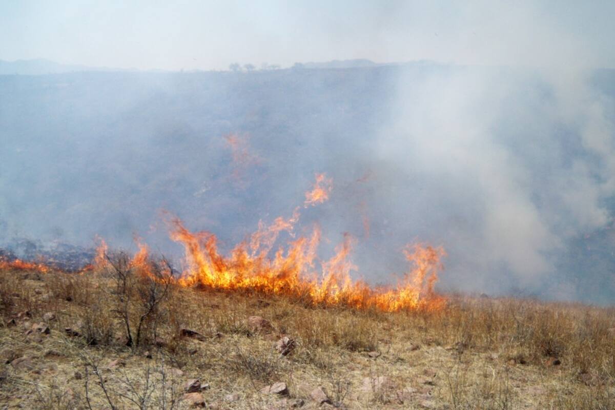 Aumentan incendios forestales con el calor