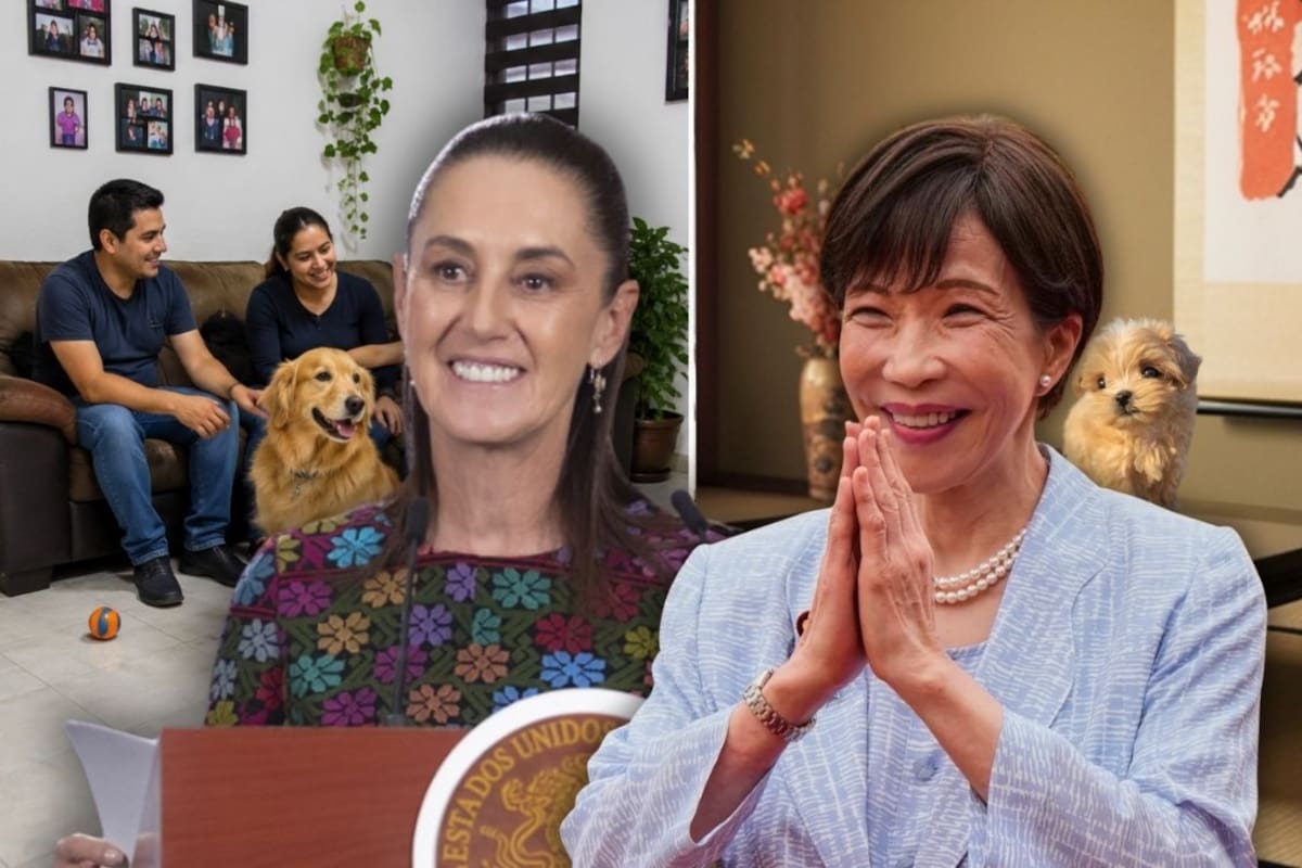 Mientras en México es normal que las mascotas vivan dentro de la casa, en Japón las mascotas están muy limitadas en espacio y tamaño