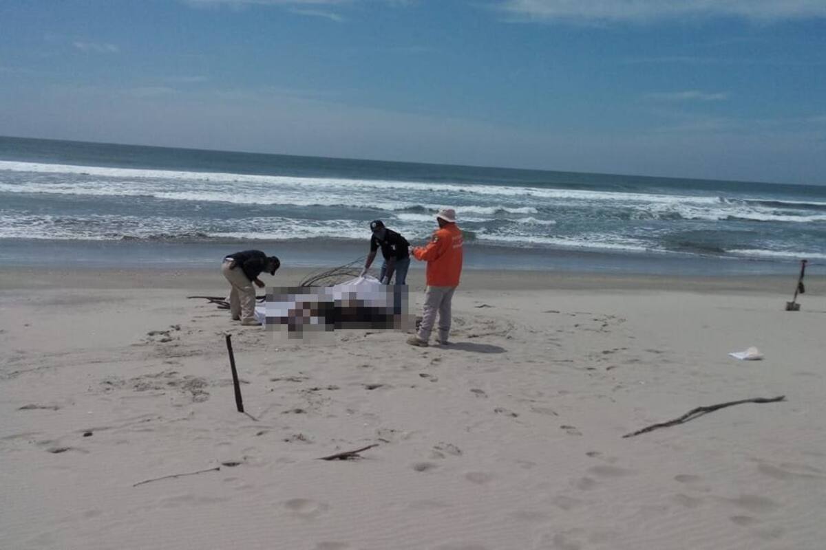 Encuentran 3 cuerpos en playa de Oaxaca